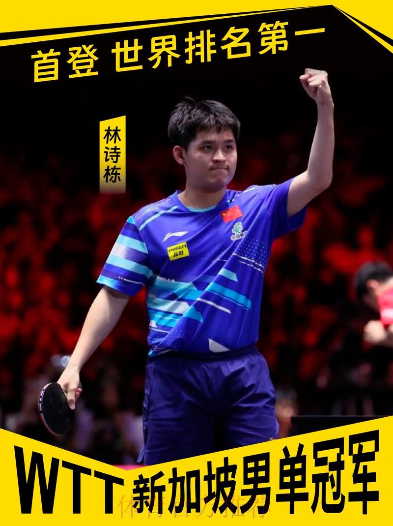 林诗栋无缘男单决赛 林诗栋无缘男单决赛